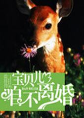 宝贝儿咱不离婚全文免费