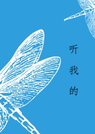 听我的老千生涯